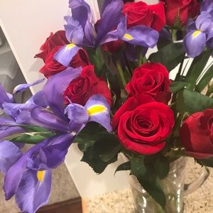 Meet your Posher, Selma